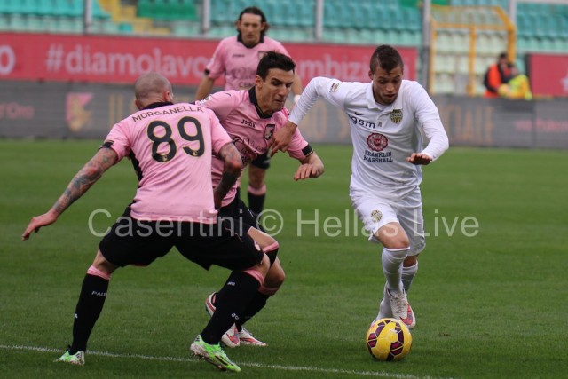 Palermo_-_Hellas_Verona_0996_copie.JPG