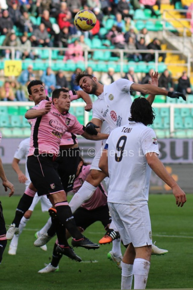 Palermo_-_Hellas_Verona_0620_copie.JPG