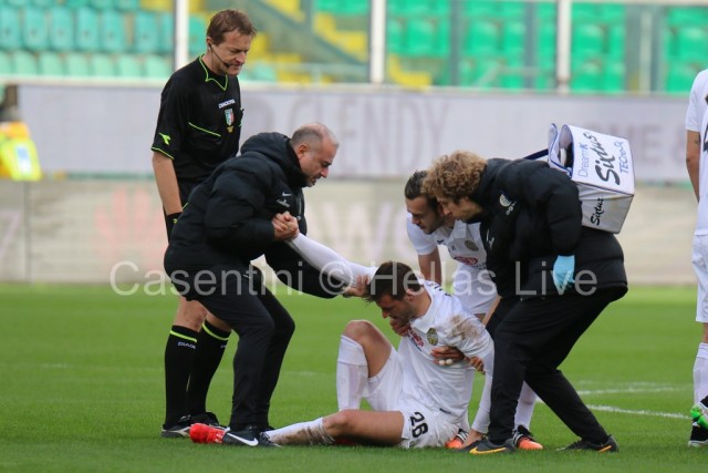 Palermo_-_Hellas_Verona_0266_copie.JPG