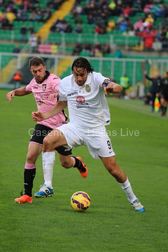 Palermo_-_Hellas_Verona_0585_copie.JPG