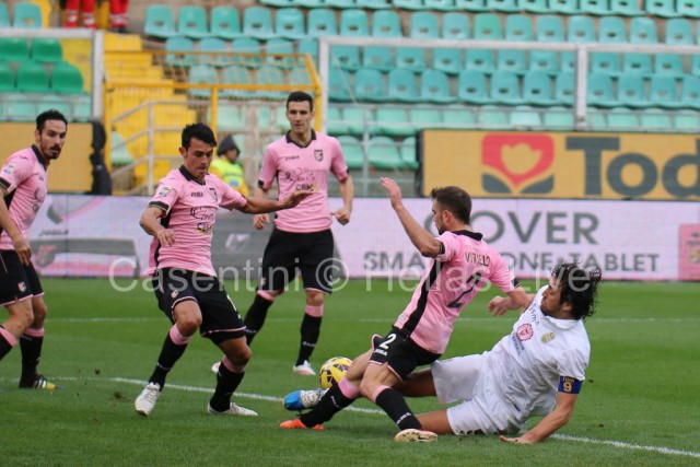 Palermo_-_Hellas_Verona_0914_copie.JPG