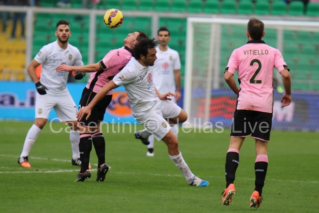 Palermo_-_Hellas_Verona_0809_copie.JPG