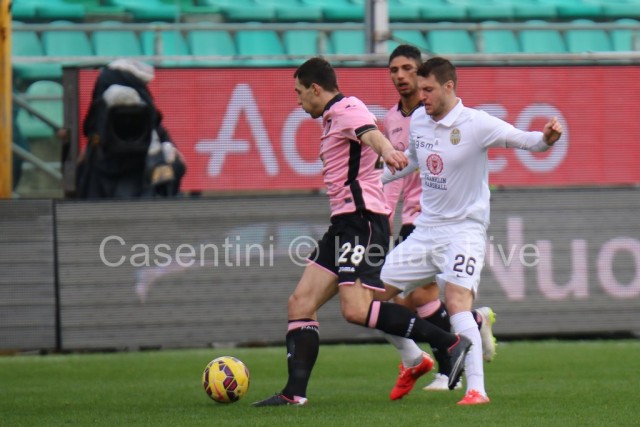 Palermo_-_Hellas_Verona_0240_copie.JPG