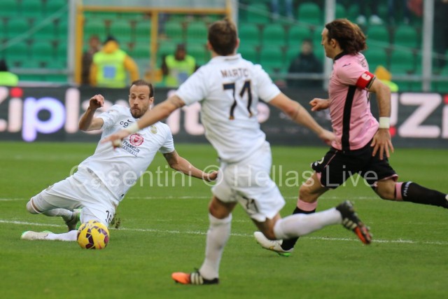 Palermo_-_Hellas_Verona_1122_copie.JPG