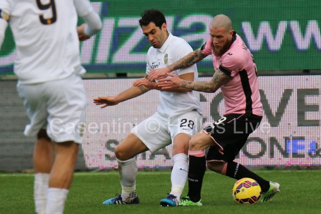 Palermo_-_Hellas_Verona_1316_copie.JPG