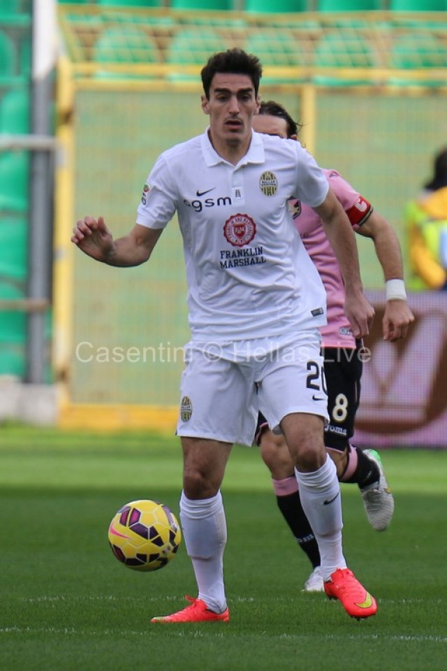 Palermo_-_Hellas_Verona_0347_copie.JPG