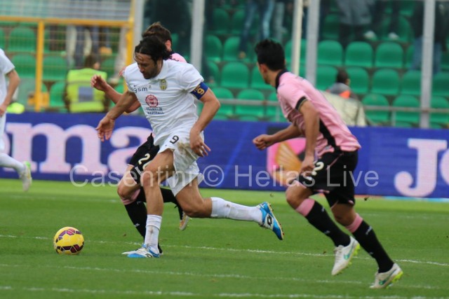 Palermo_-_Hellas_Verona_0872_copie.JPG