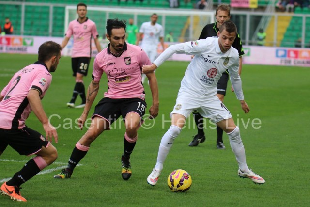 Palermo_-_Hellas_Verona_0828_copie.JPG