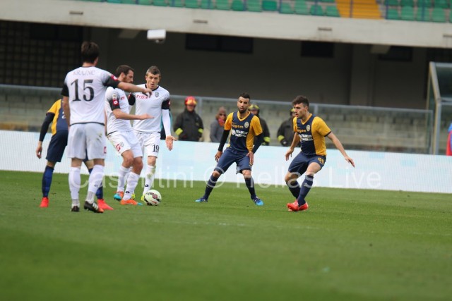 Hellas_Verona-_Cesena_2125.JPG