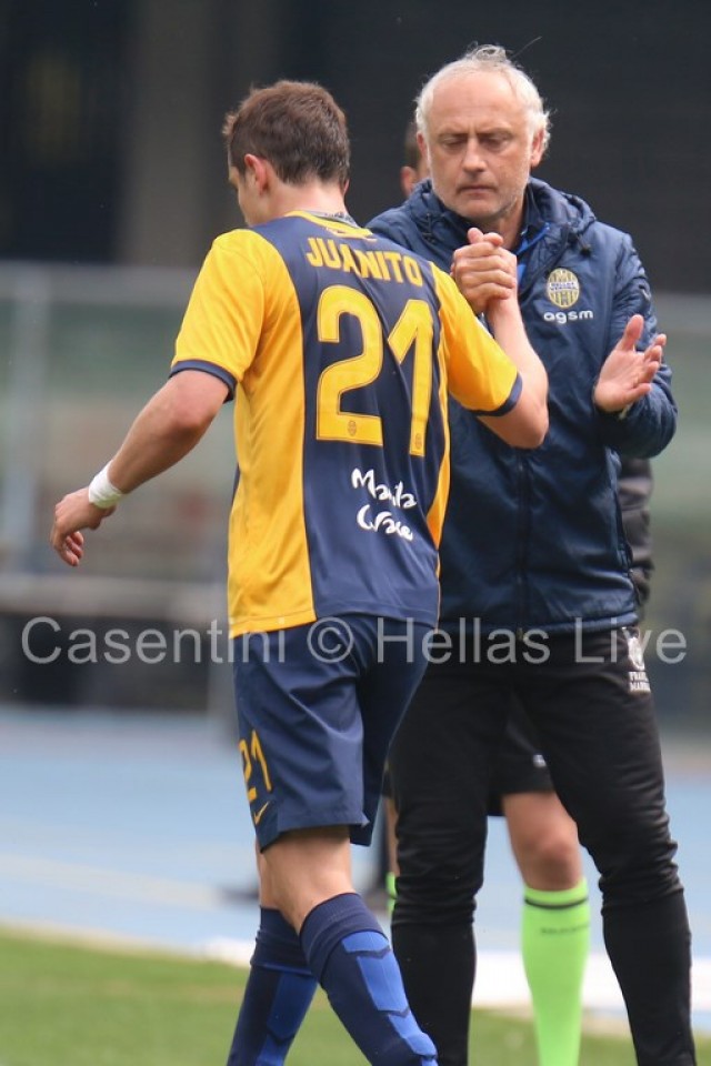 Hellas_Verona_-_Sassuolo_1117.JPG