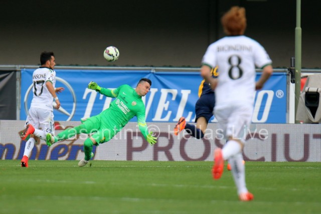 Hellas_Verona_-_Sassuolo_0760.JPG