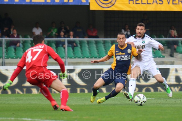 Hellas_Verona_-_Sassuolo_0650.JPG