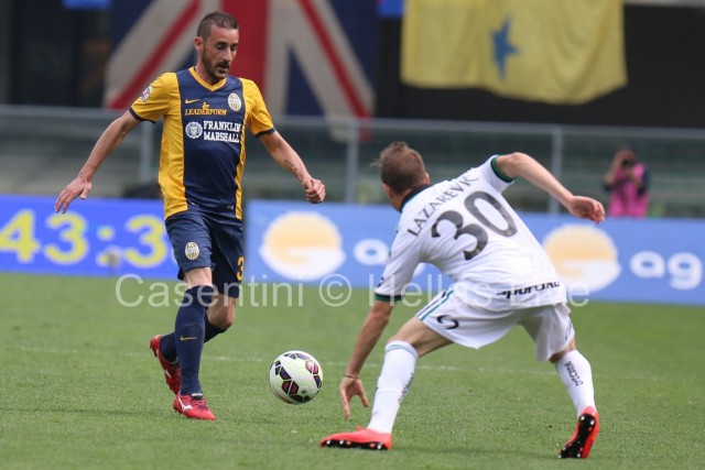 Hellas_Verona_-_Sassuolo_1379.JPG