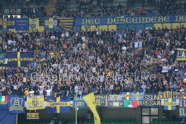 Hellas_Verona_-_Sassuolo_1224.JPG