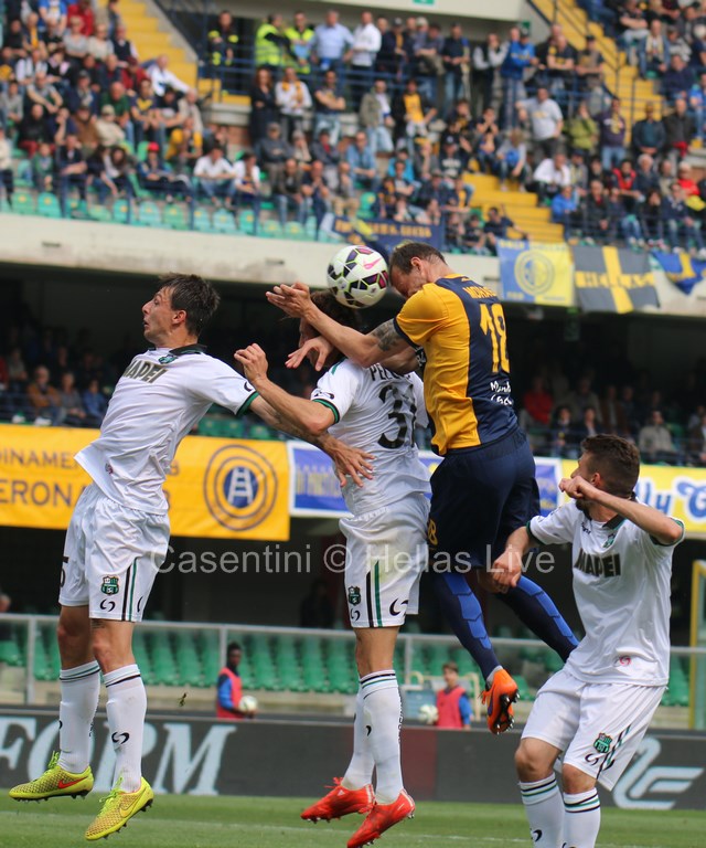 Hellas_Verona_-_Sassuolo_1248.JPG