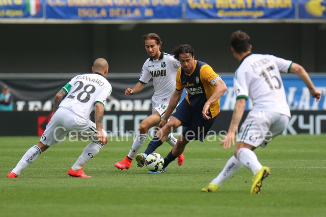 Hellas_Verona_-_Sassuolo_1152.JPG