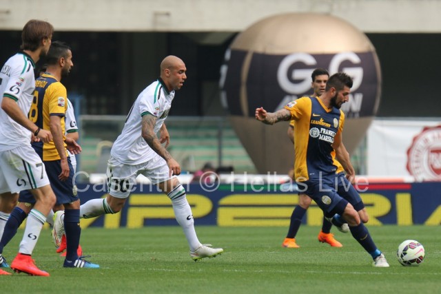 Hellas_Verona_-_Sassuolo_1334.JPG