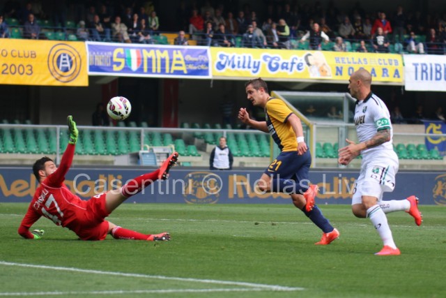 Hellas_Verona_-_Sassuolo_1072.JPG